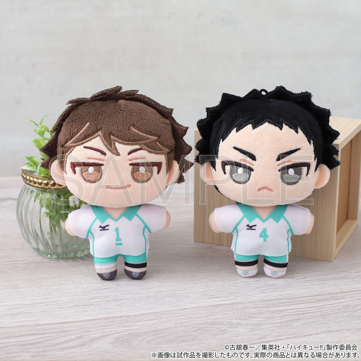 『ハイキュー!!』ぬいパル