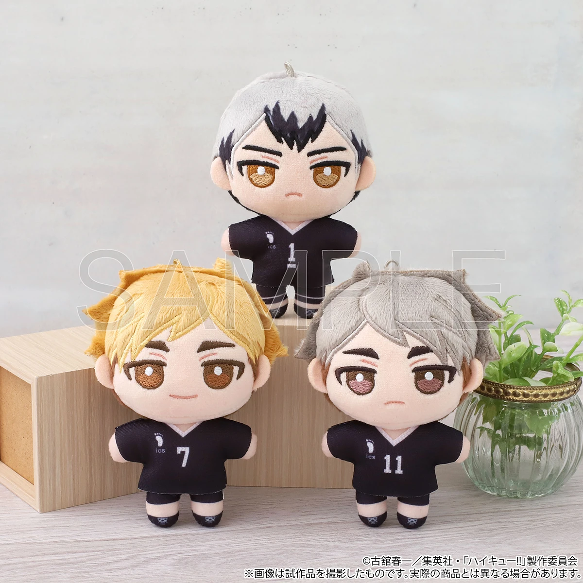 『ハイキュー!!』ぬいパル